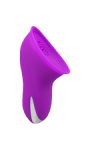 Producto Ejemplo